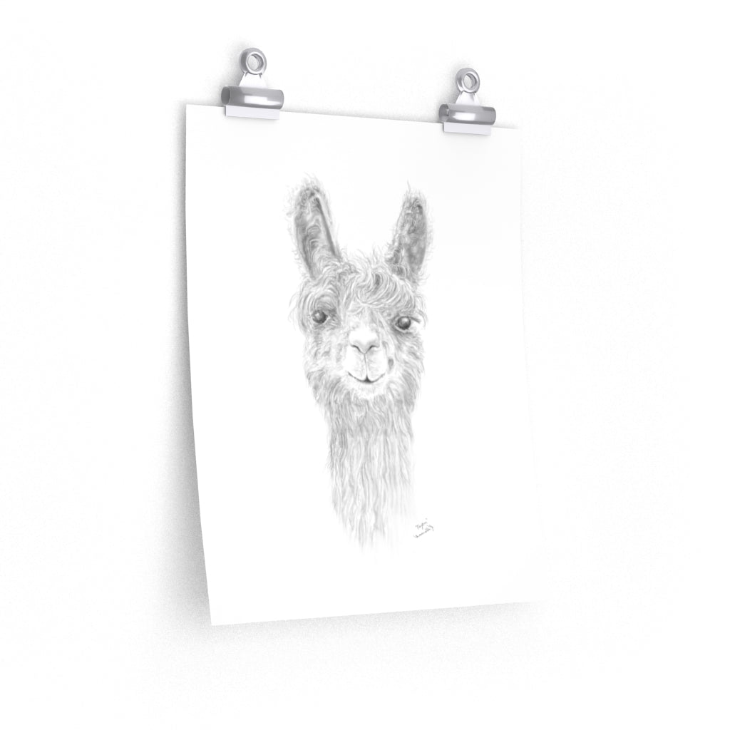 PAYTON Llama- Art Paper Print