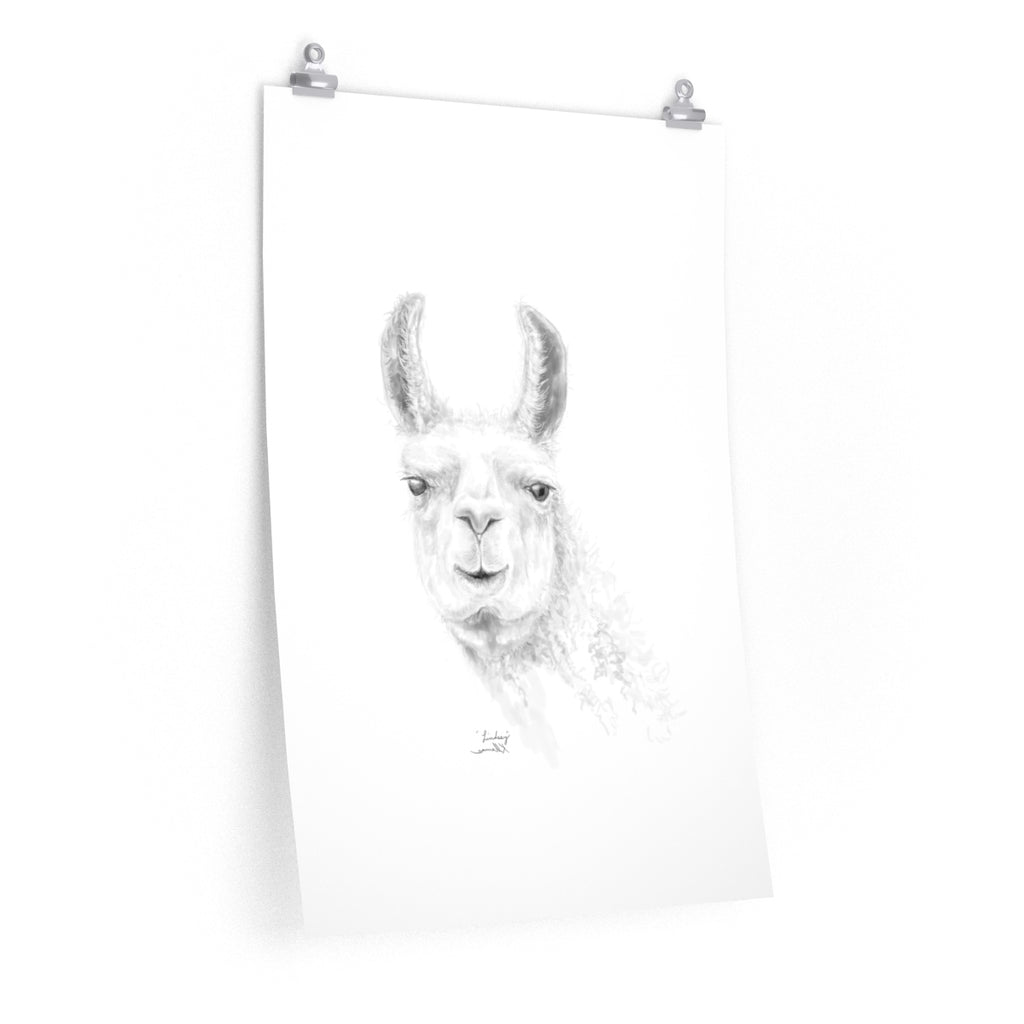 LINDSEY Llama- Art Paper Print