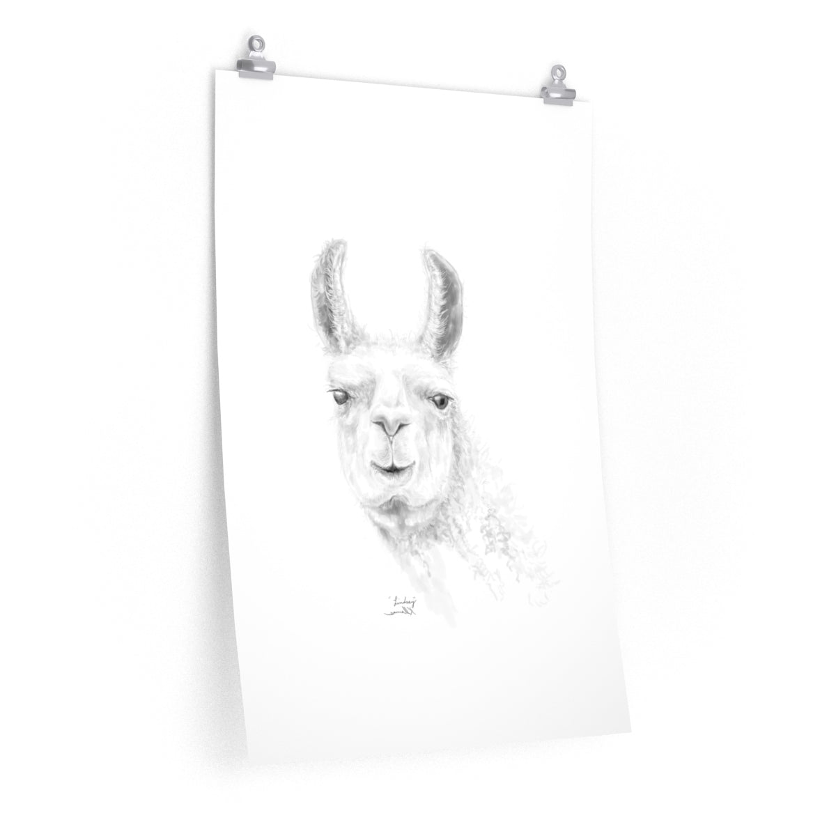 LINDSEY Llama- Art Paper Print