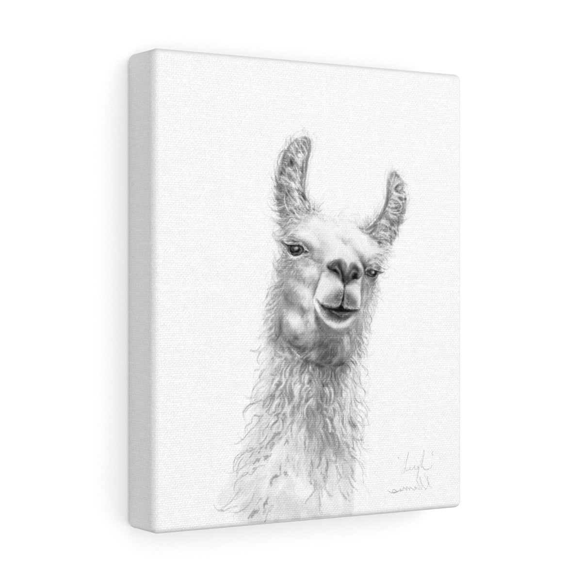 LEIGH Llama - Art Canvas