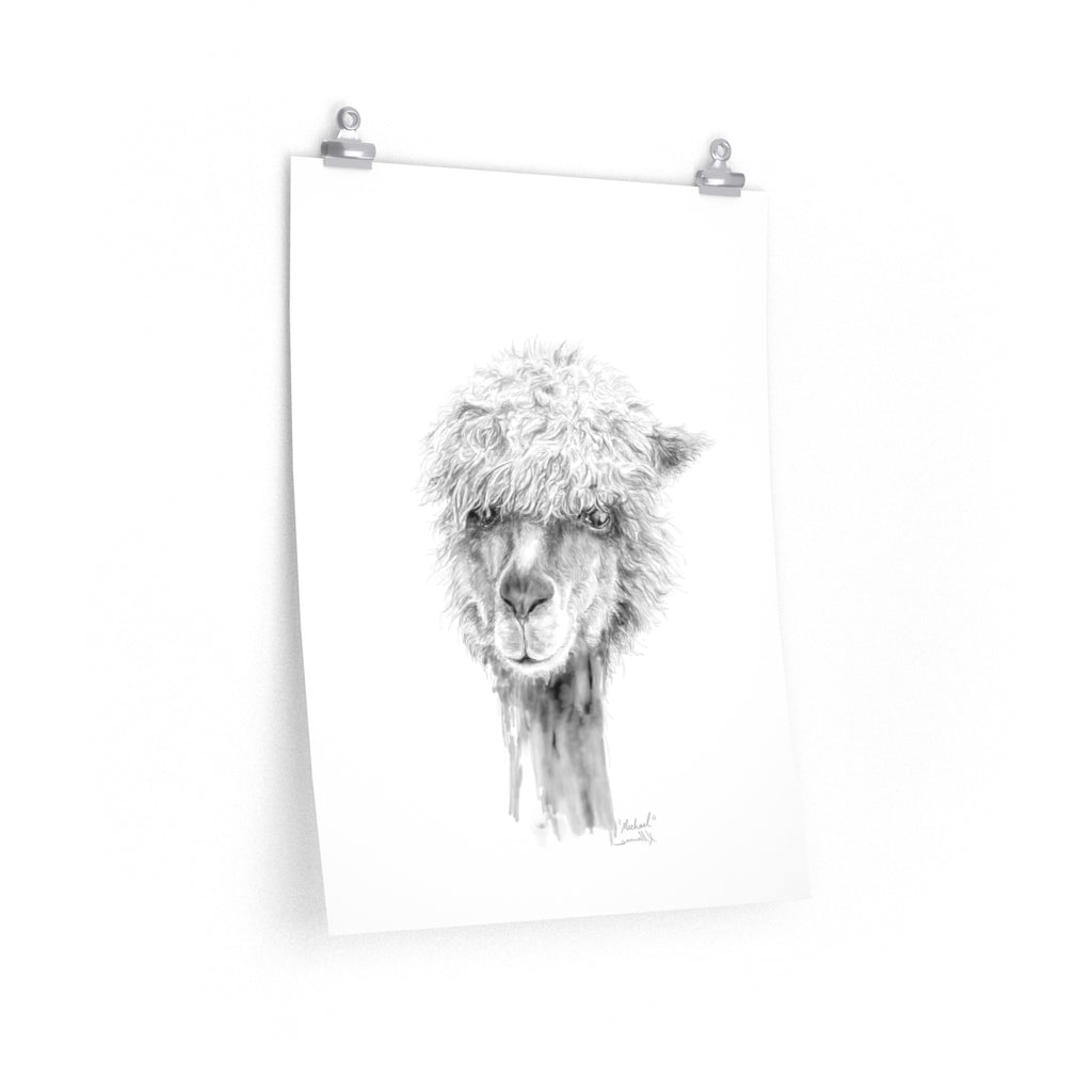 MICHAEL Llama- Art Paper Print