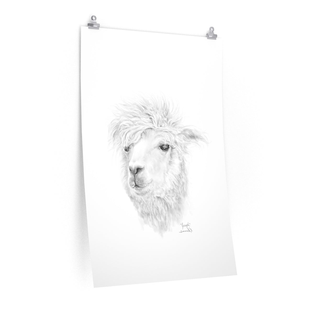 JOSEPH Llama- Art Paper Print