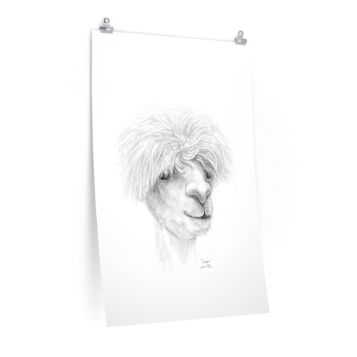 COOPER Llama- Art Paper Print