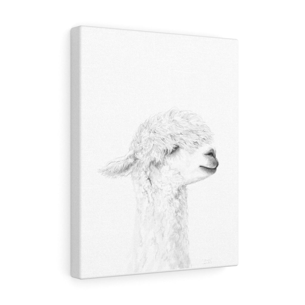 DANICA Llama - Art Canvas