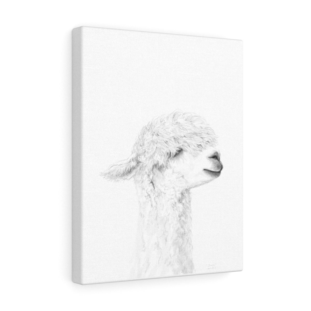 DANICA Llama - Art Canvas