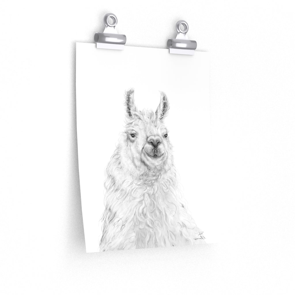 ART Llama- Art Paper Print