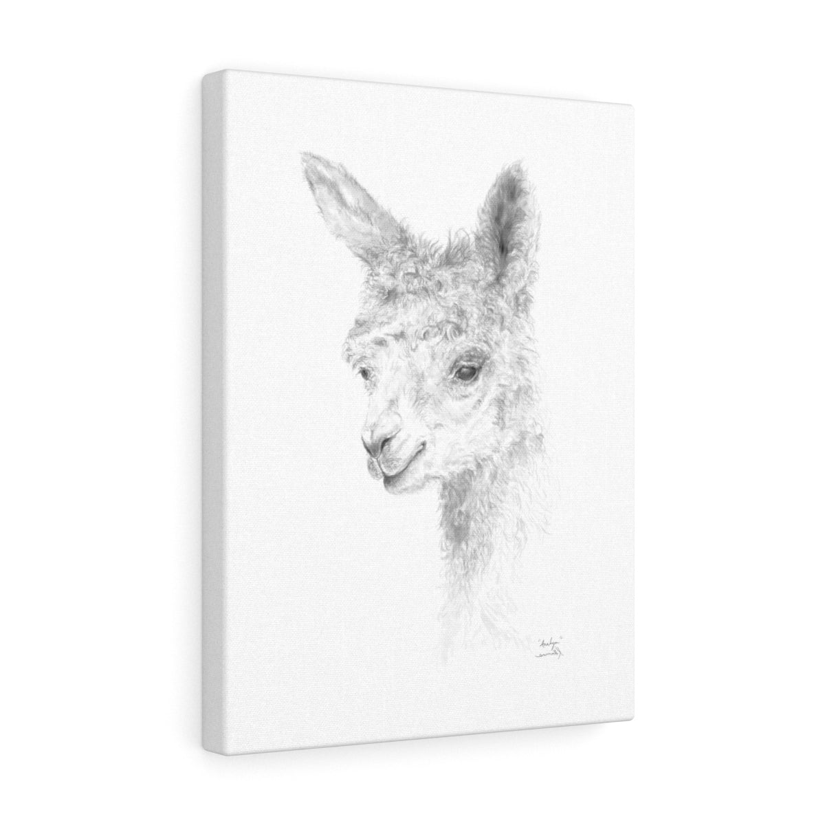 ANALYN Llama- Art Canvas