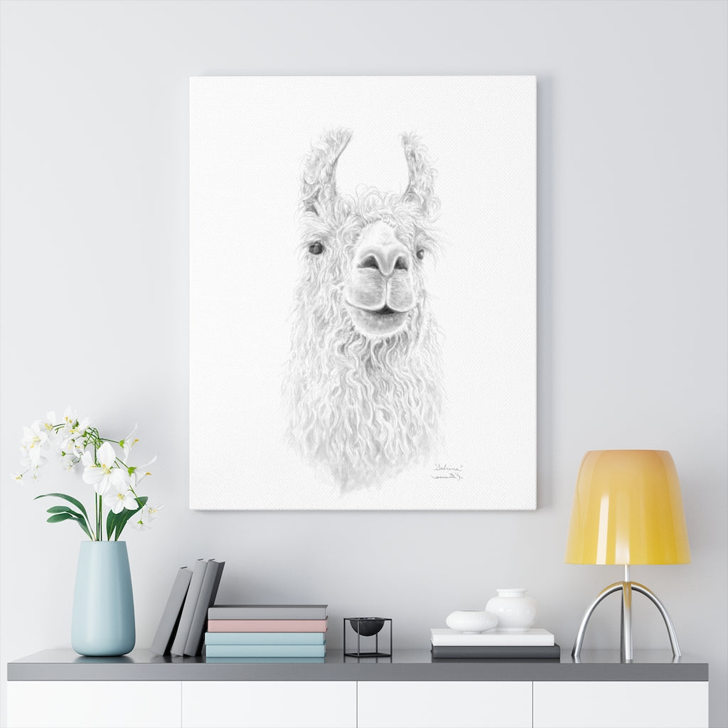 SABRINA Llama - Art Canvas