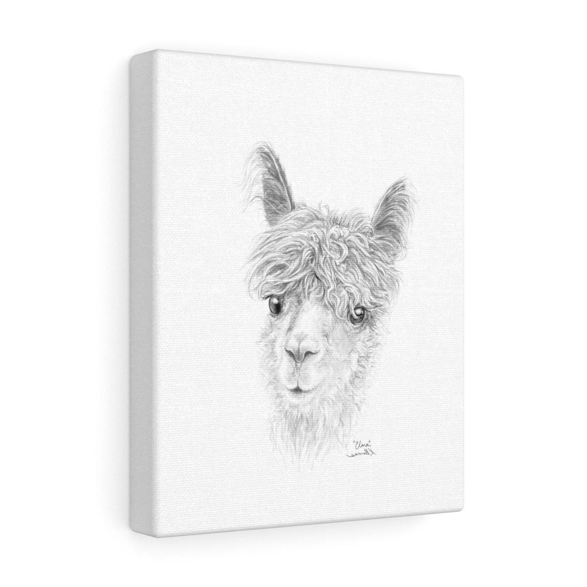 CLARA Llama - Art Canvas