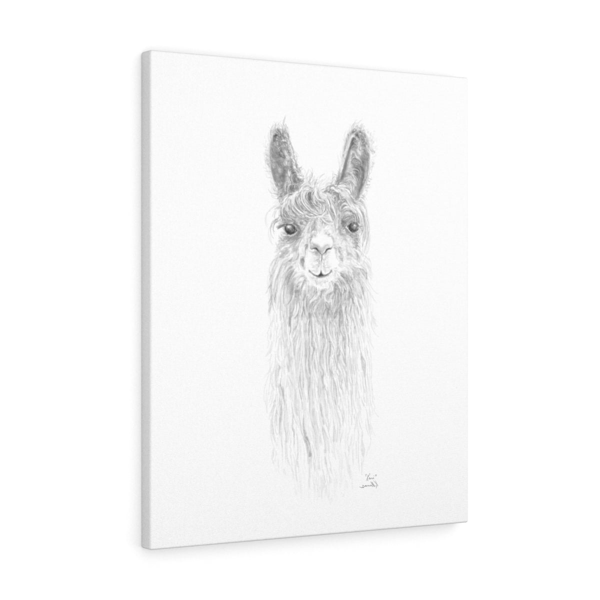 KARI Llama - Art Canvas