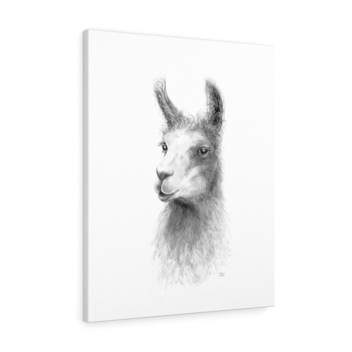 SHERI Llama - Art Canvas