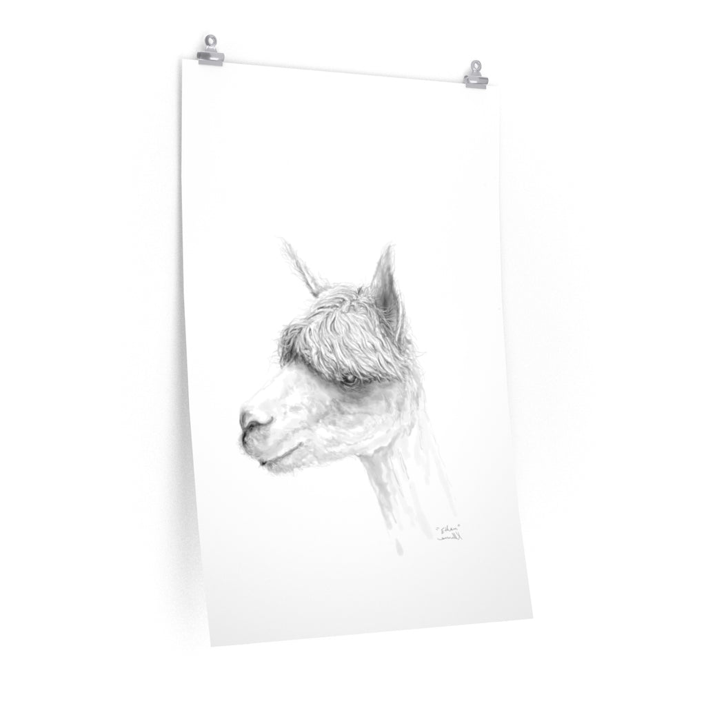 ETHAN Llama- Art Paper Print
