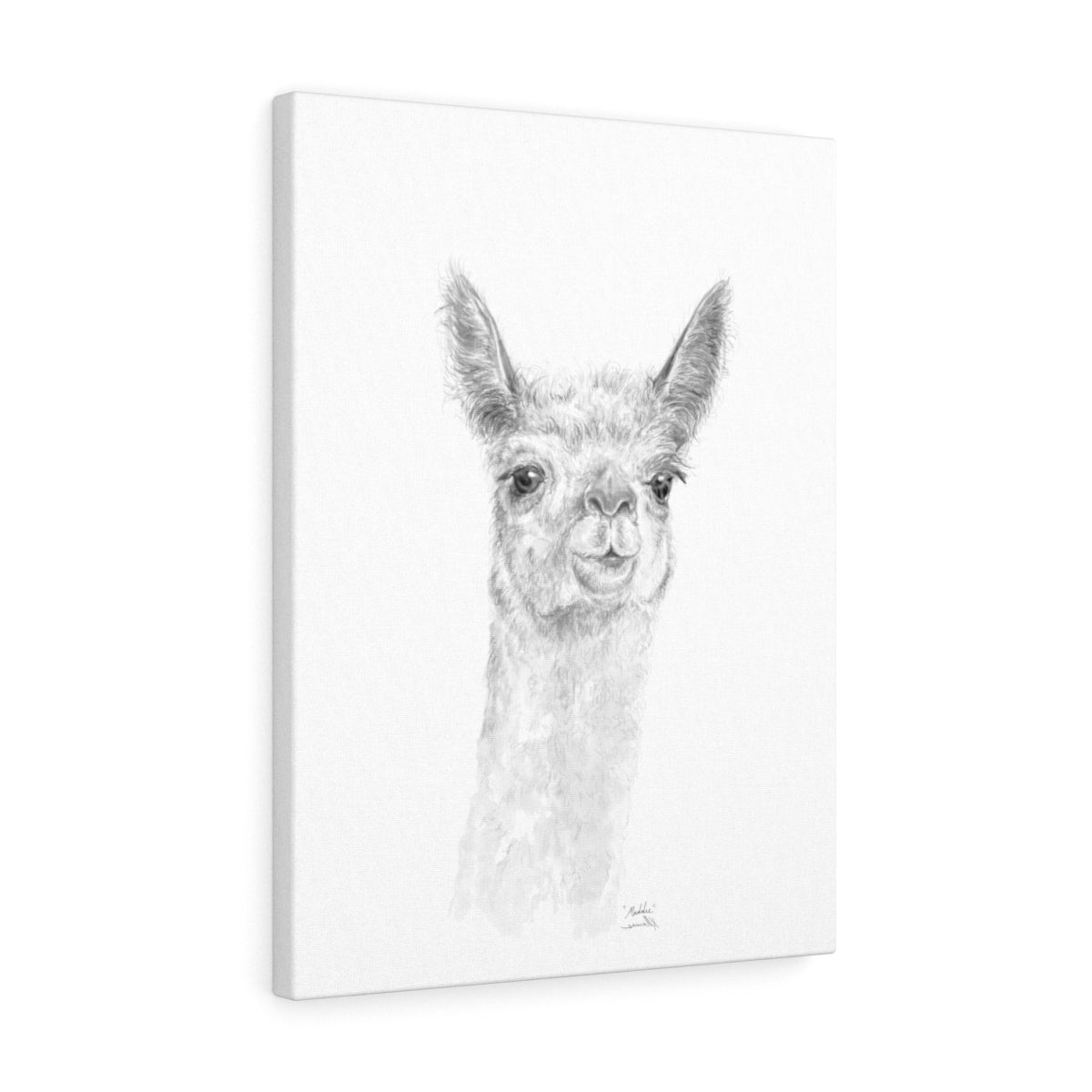 MADDIE Llama - Art Canvas