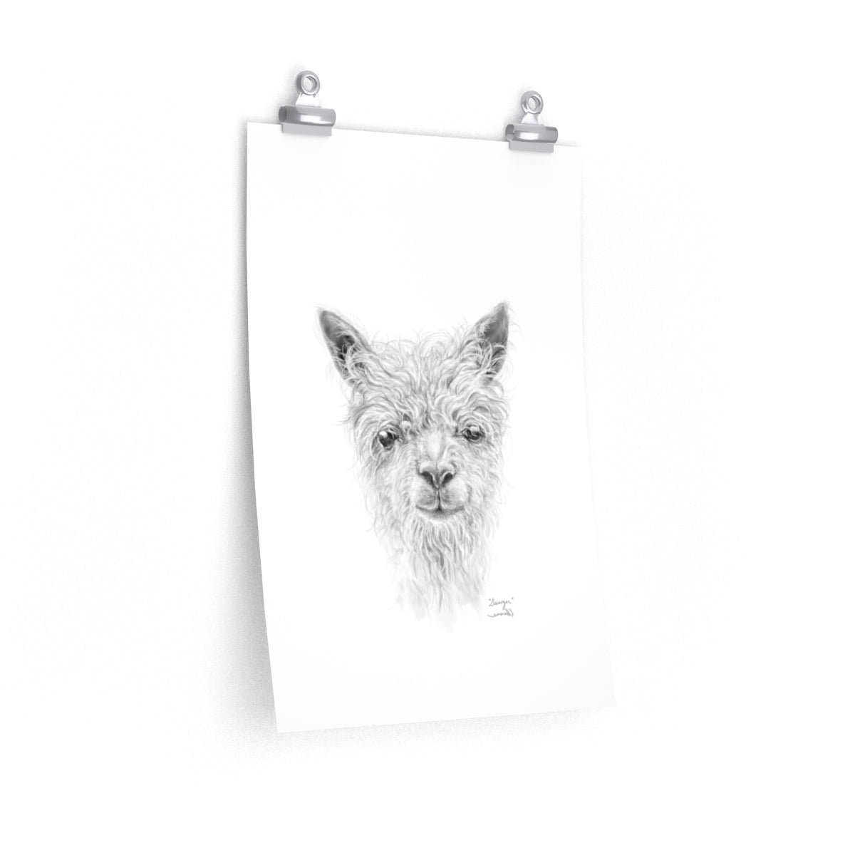 SAWYER Llama- Art Paper Print