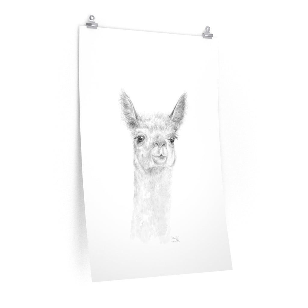 MADDIE Llama- Art Paper Print