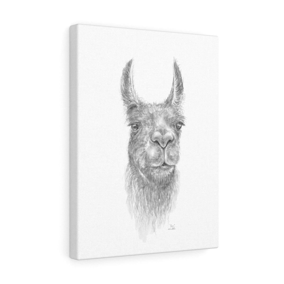 EVAN Llama - Art Canvas