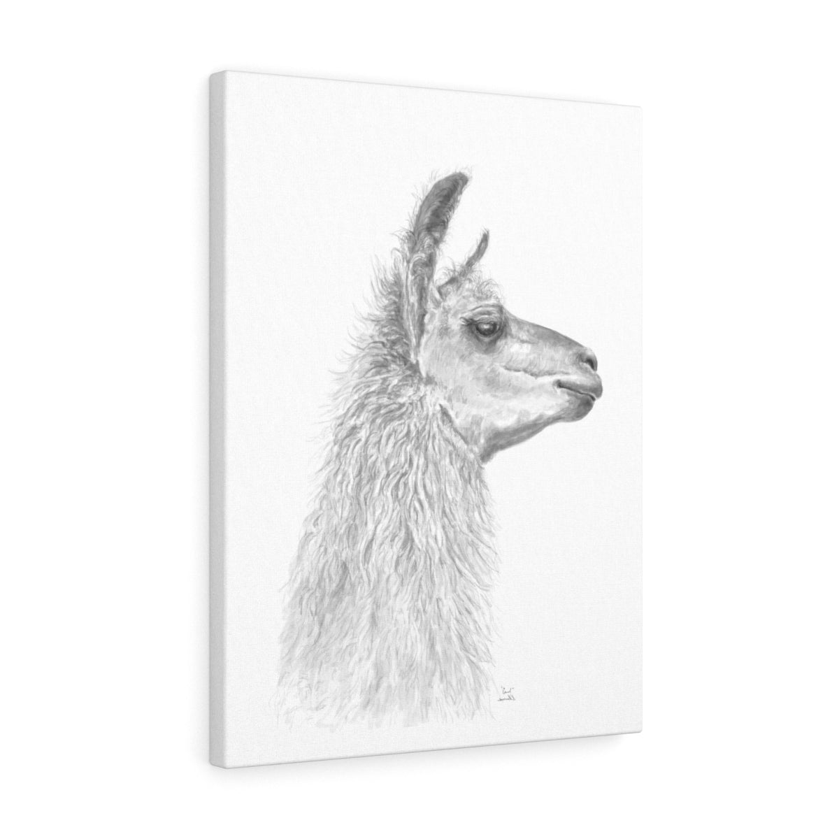 CAROL Llama - Art Canvas