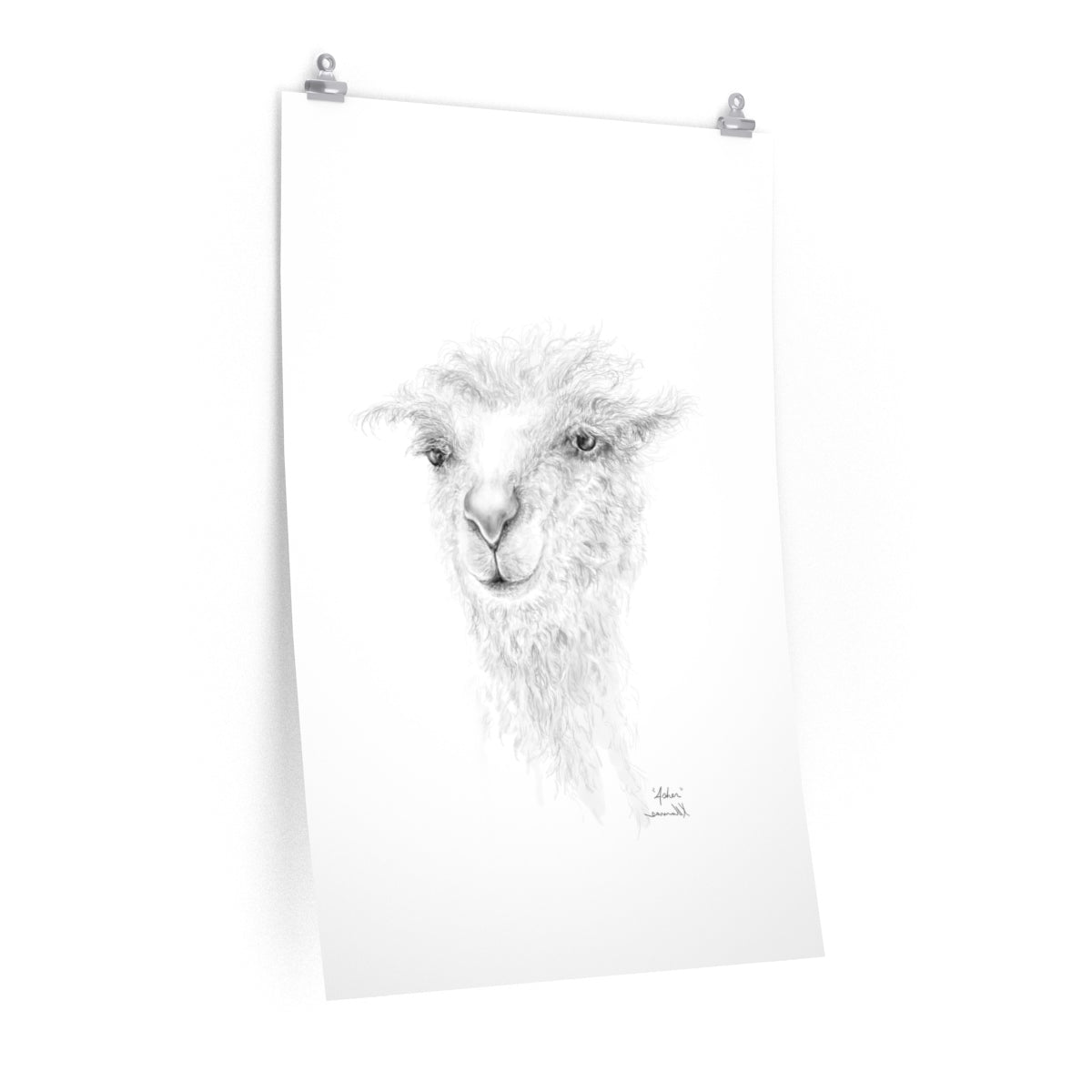 ASHER Llama- Art Paper Print