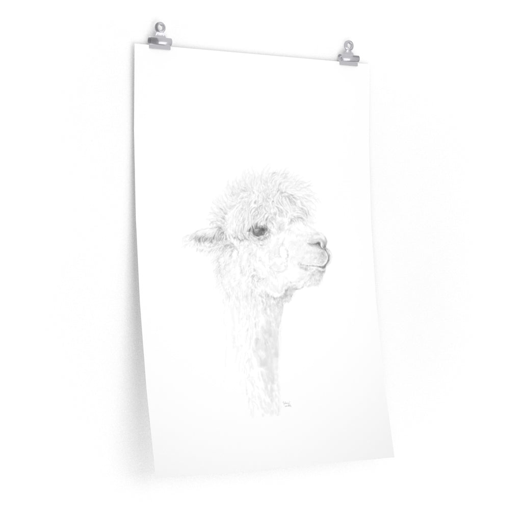 JULIANA Llama- Art Paper Print
