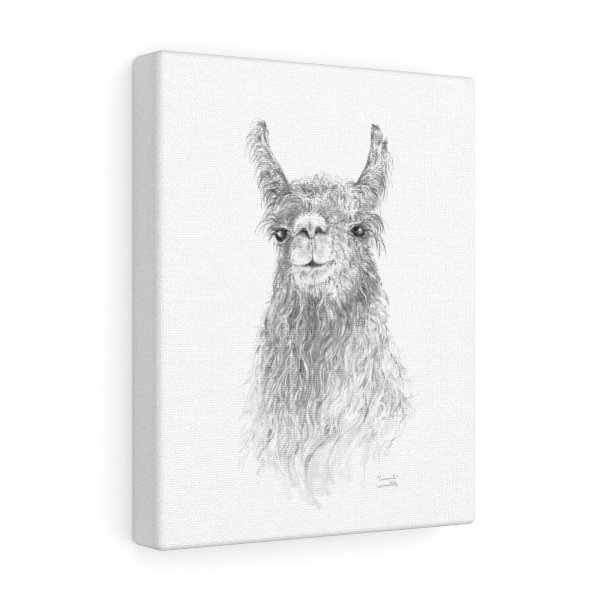 CONSWALA Llama- Art Canvas