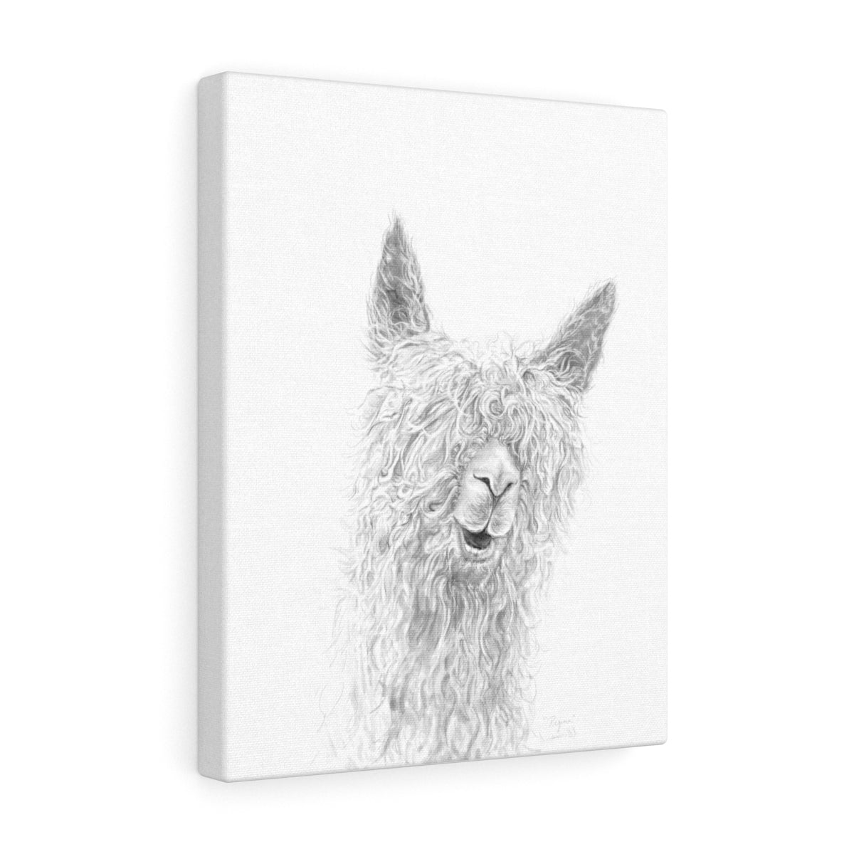 REGINA Llama - Art Canvas
