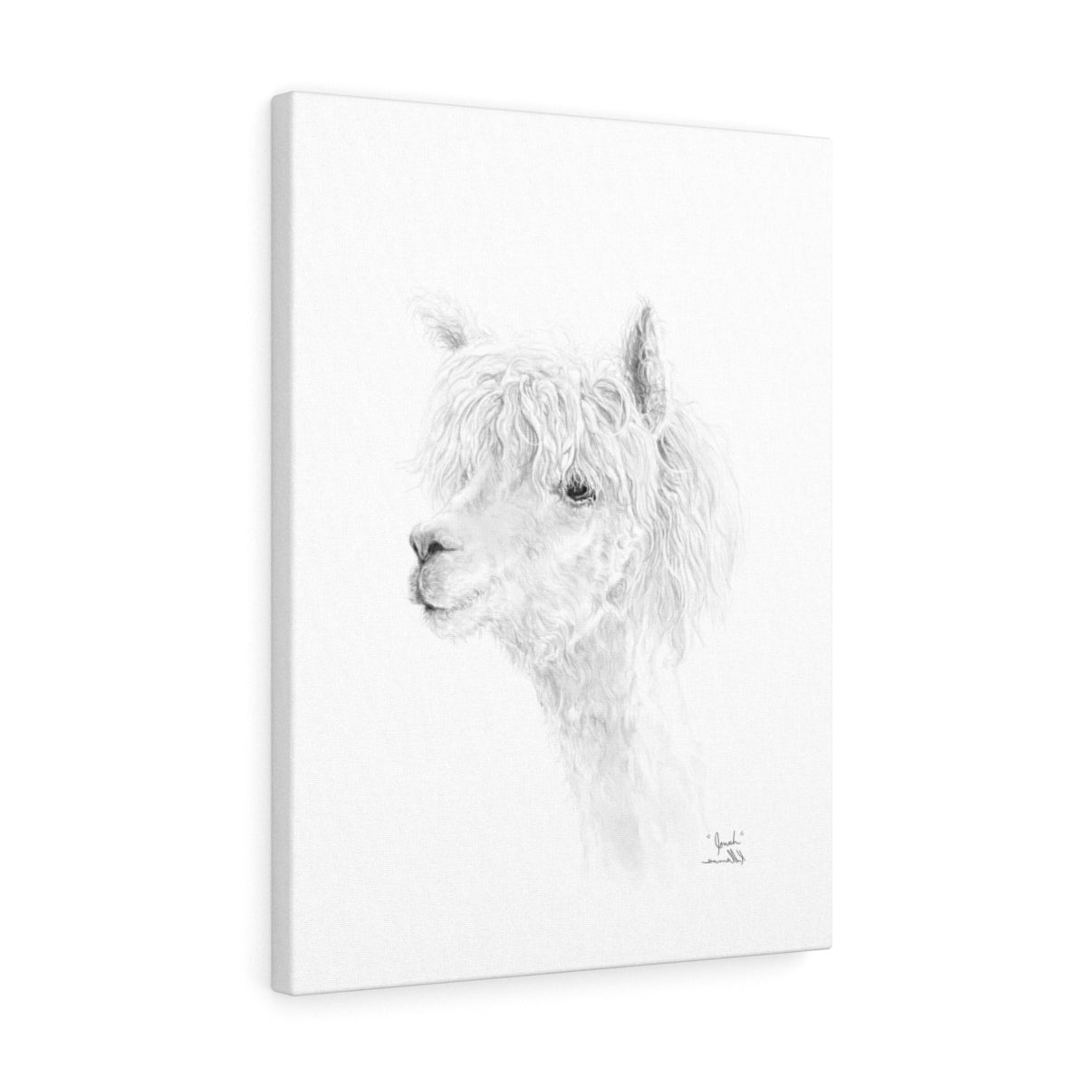 JONAH llama- Art Canvas