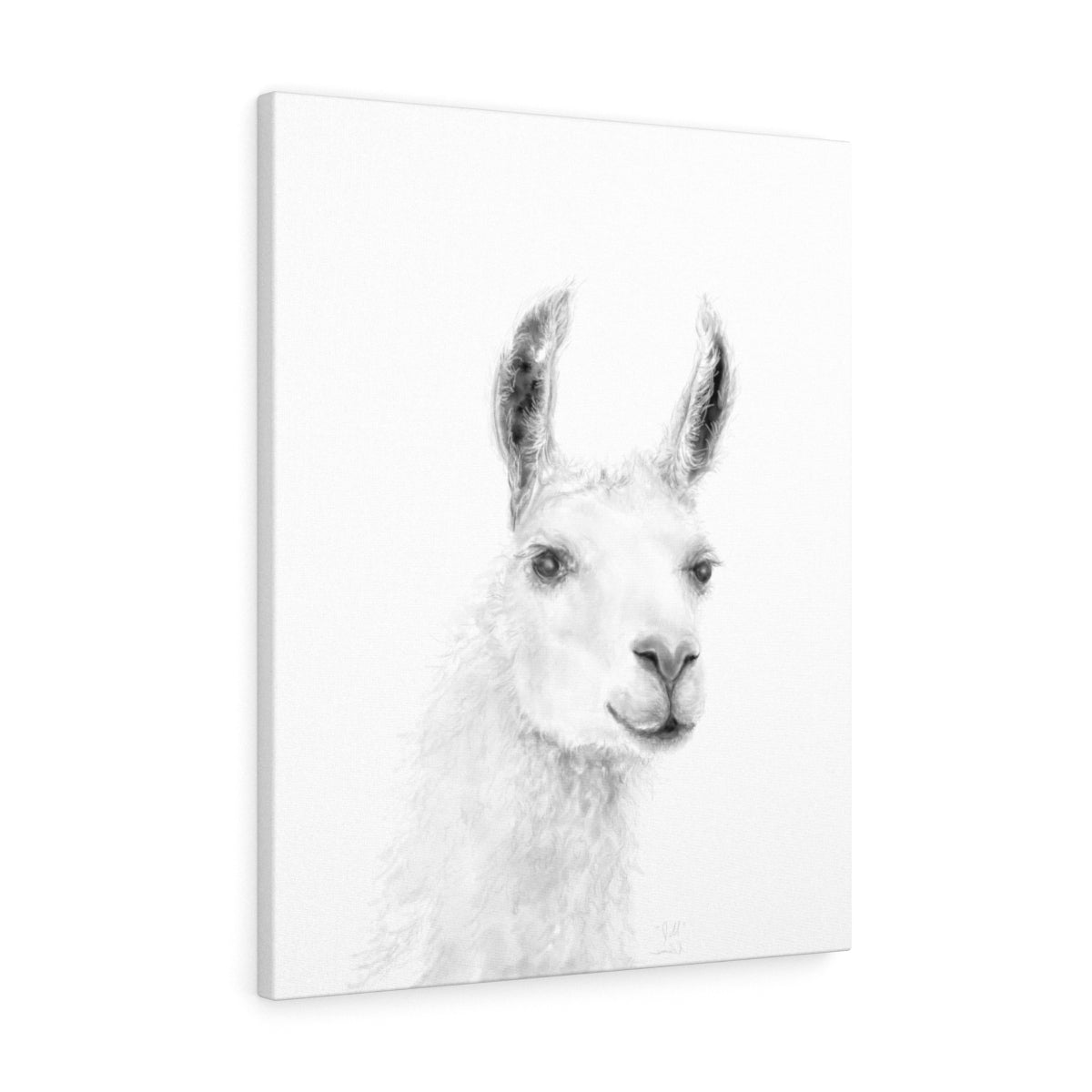 JILL Llama - Art Canvas