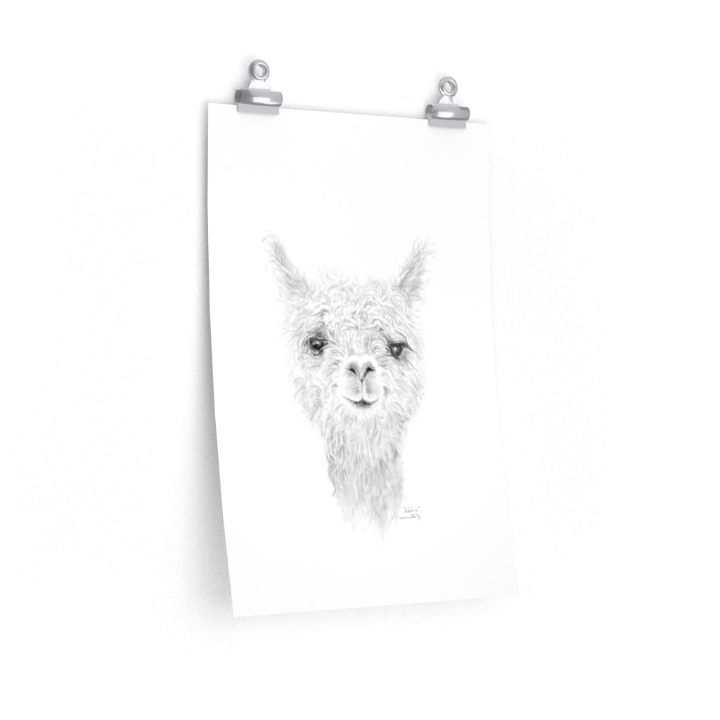 ADELINE Llama- Art Paper Print