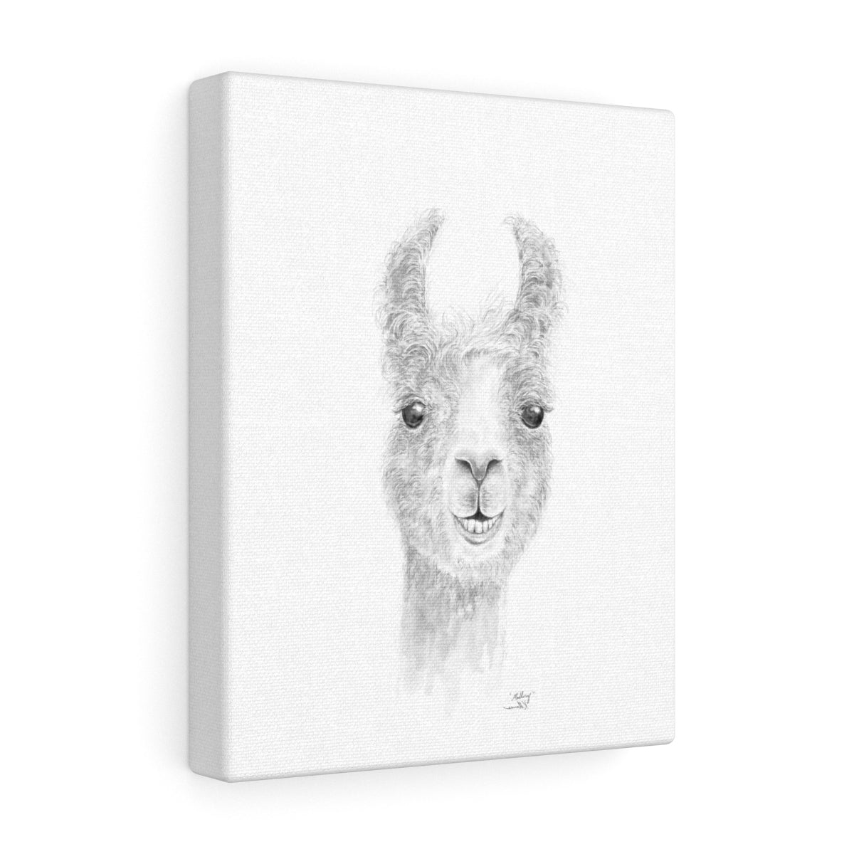 MALLORY Llama - Art Canvas