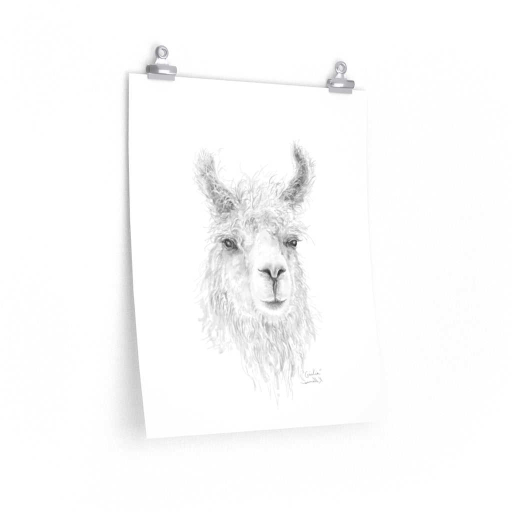 GIULIA Llama- Art Paper Print