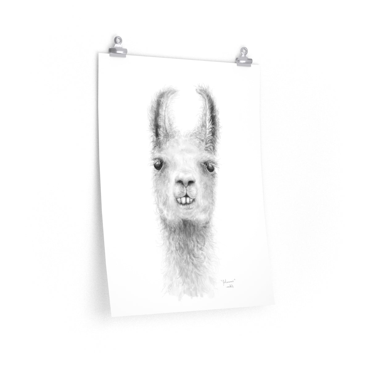 JOHANNES Llama- Art Paper Print