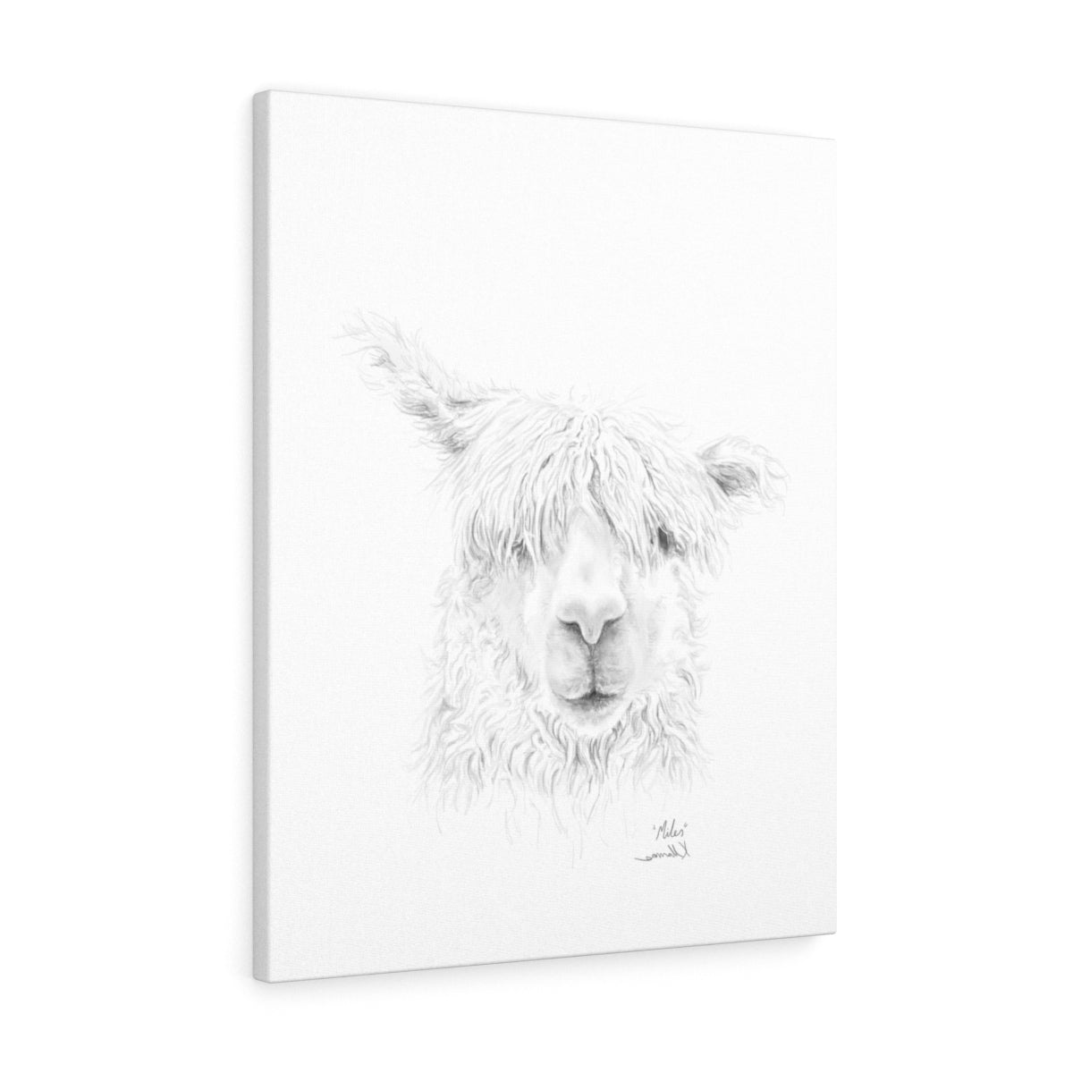MILES Llama - Art Canvas
