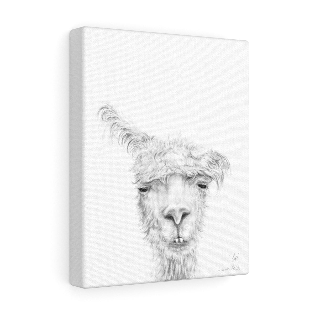 KIP Llama - Art Canvas