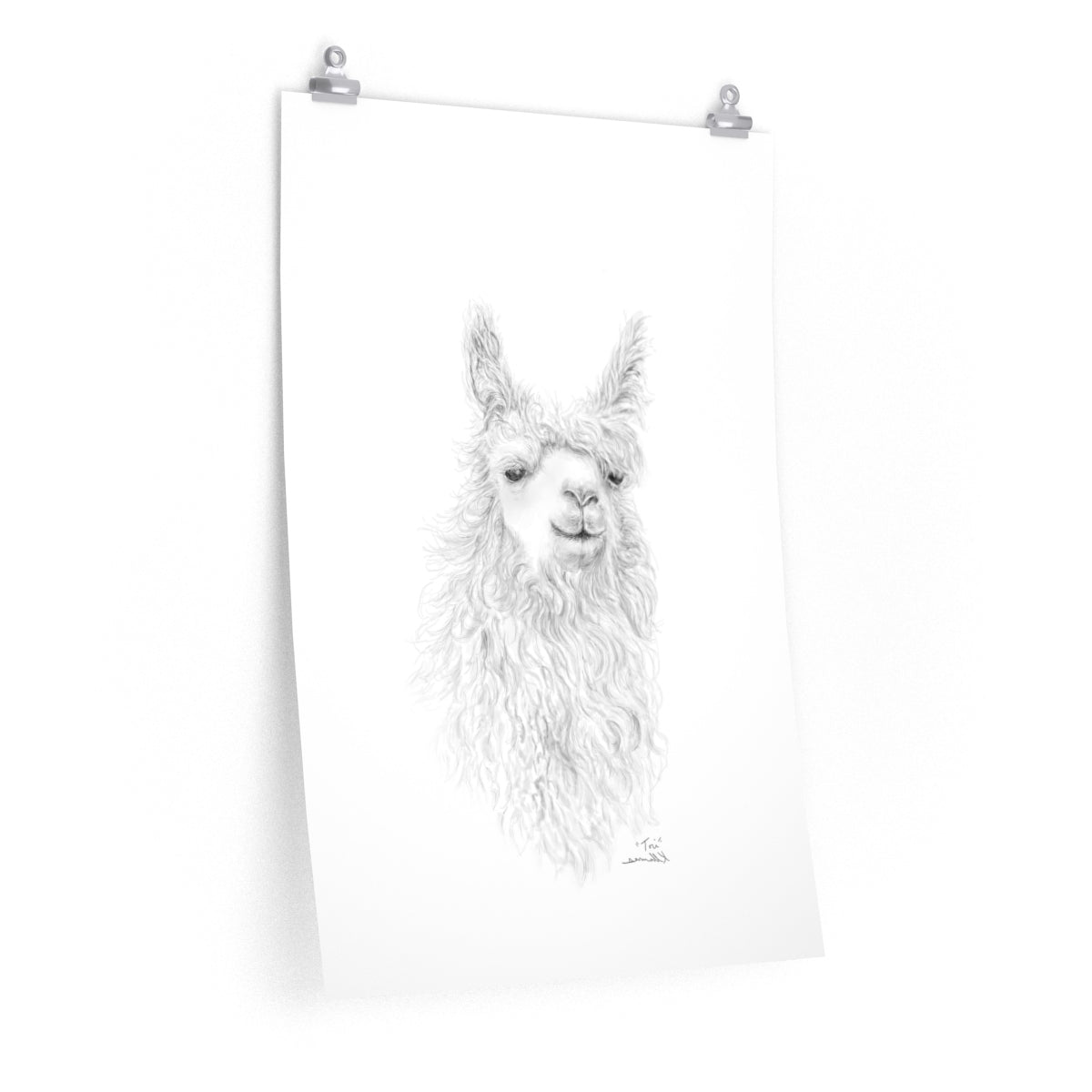 TORI Llama- Art Paper Print