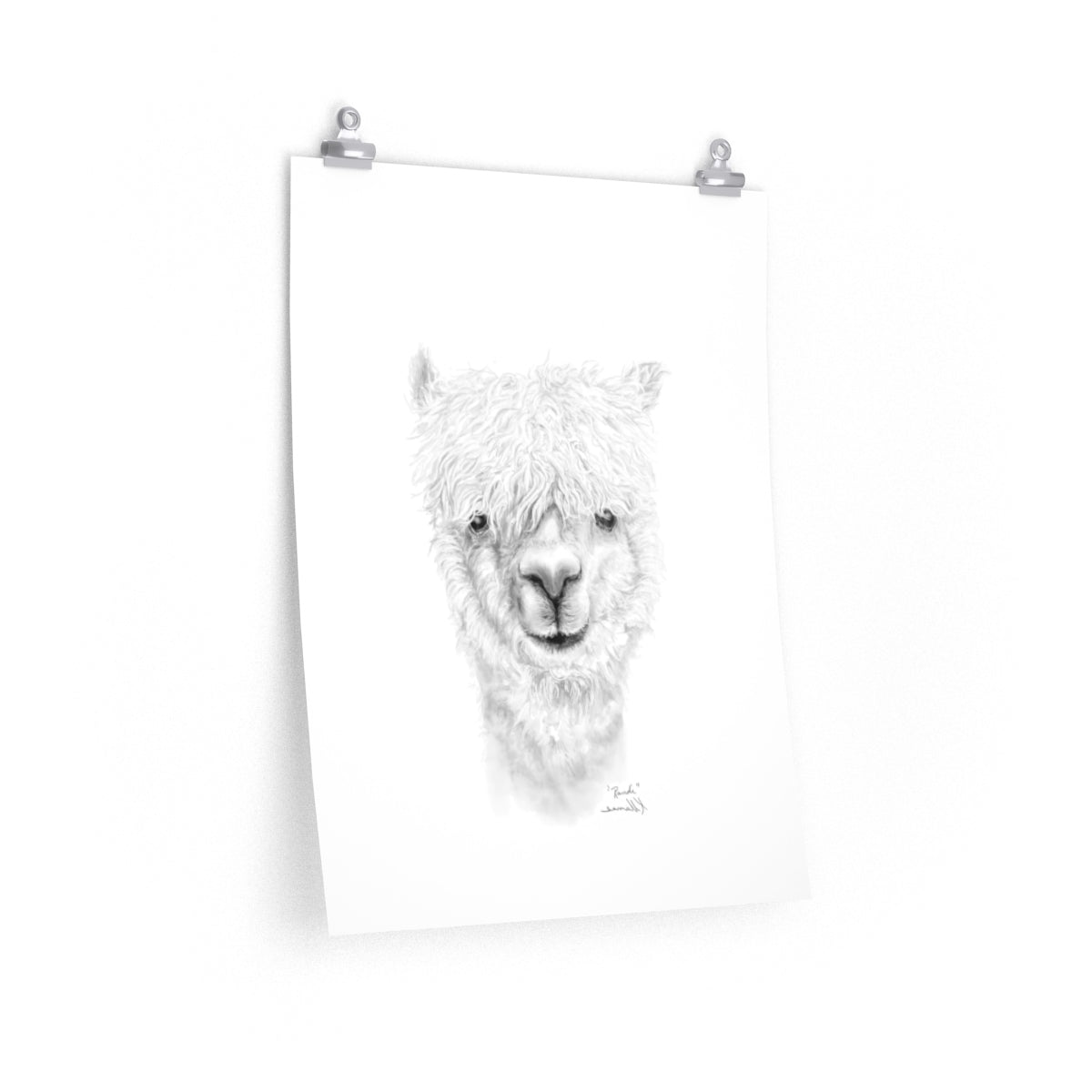 RANDI Llama- Art Paper Print
