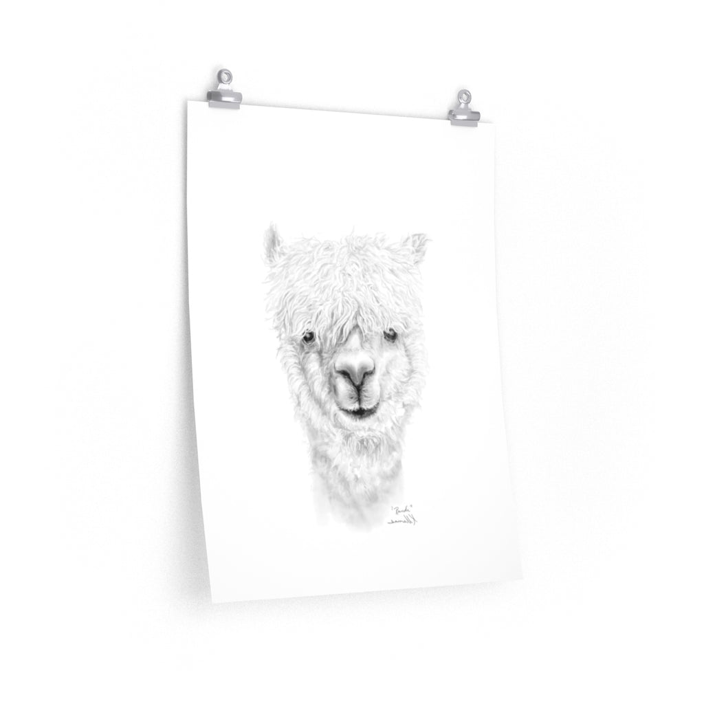 RANDI Llama- Art Paper Print