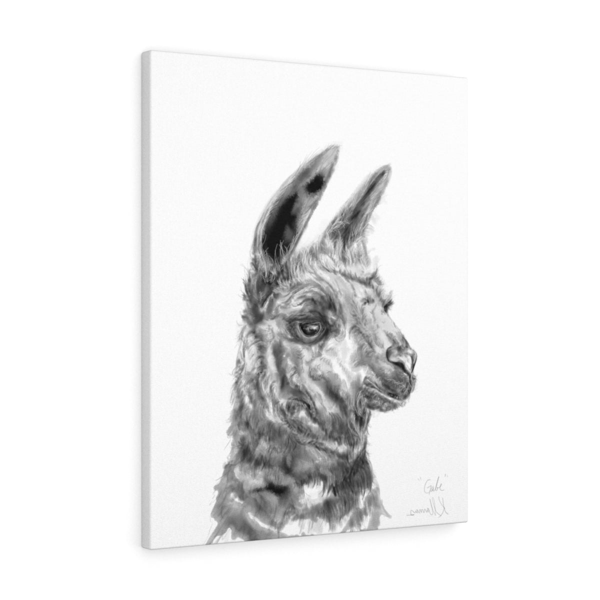 GABE Llama - Art Canvas