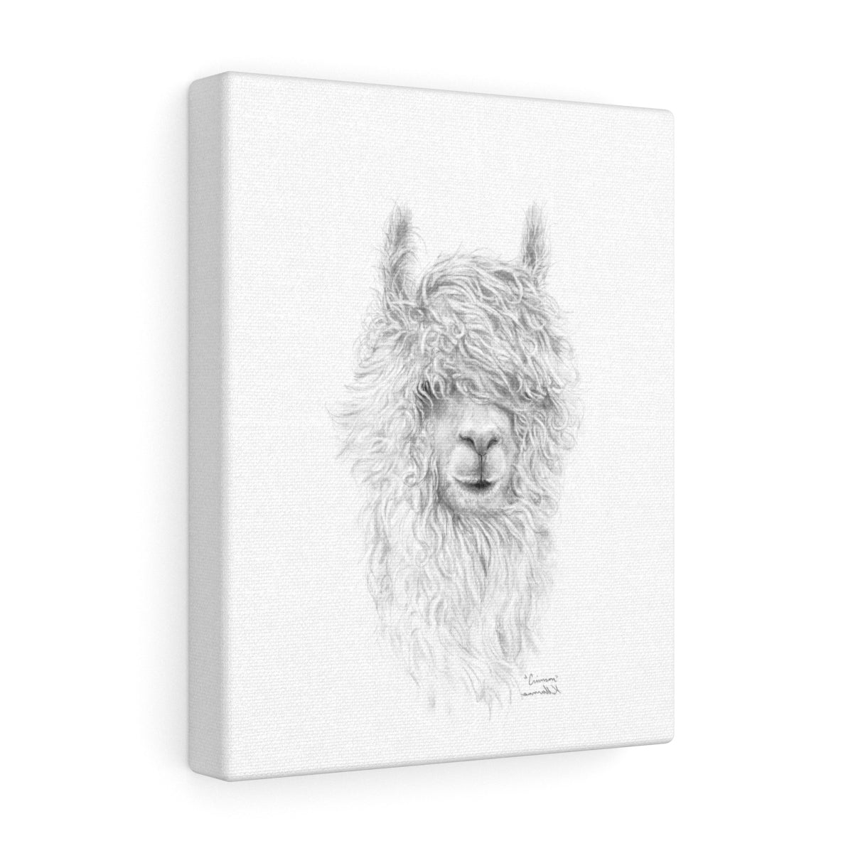 CRIMSON Llama - Art Canvas