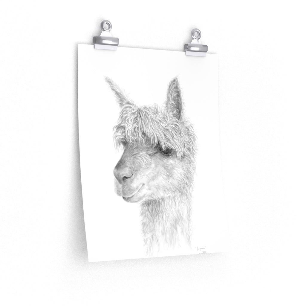 JAZOARA Llama- Art Paper Print
