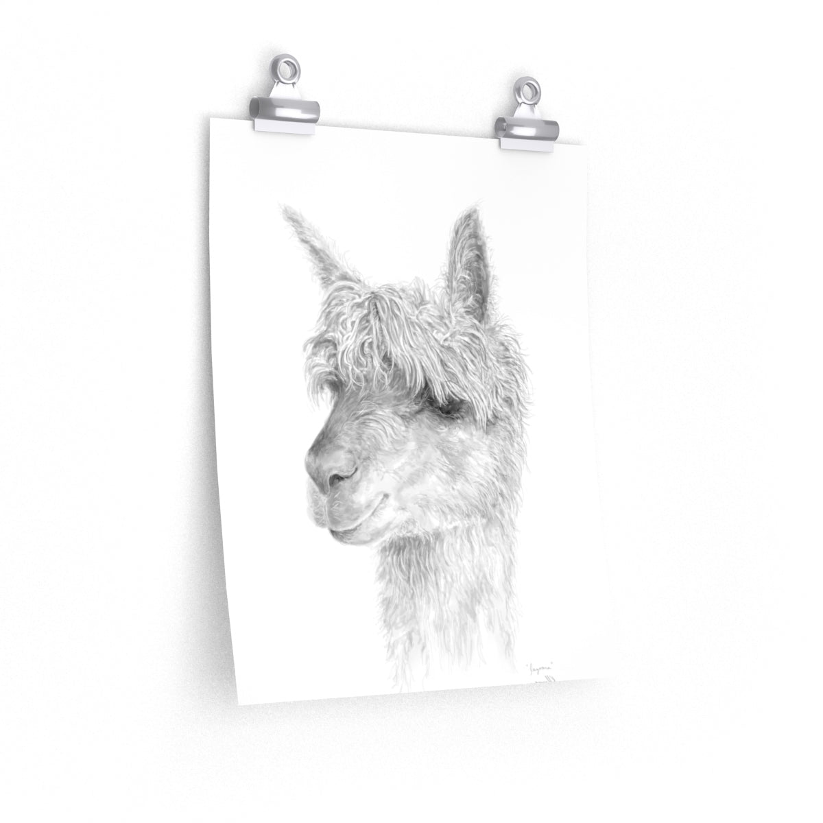 JAZOARA Llama- Art Paper Print