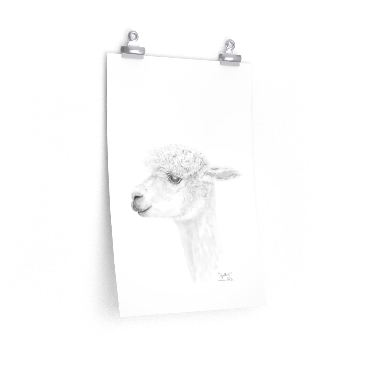 AYALKBET Llama- Art Paper Print