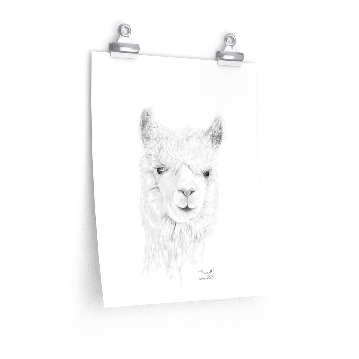 PRESCOTT Llama- Art Paper Print