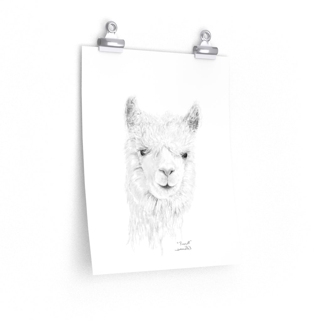 PRESCOTT Llama- Art Paper Print
