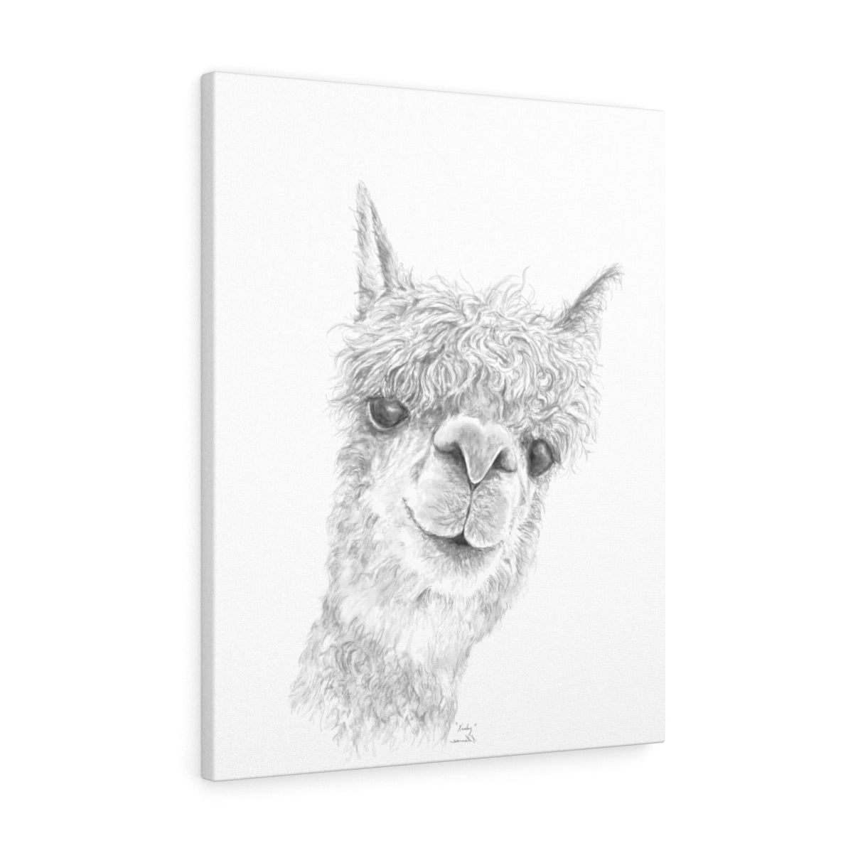 KENLEY Llama - Art Canvas