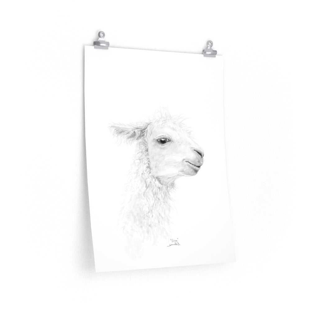 ERICA Llama- Art Paper Print