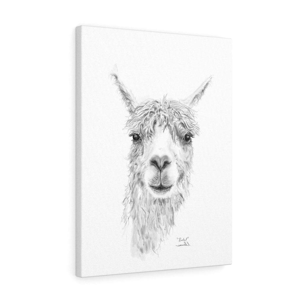 RACHEL Llama - Art Canvas