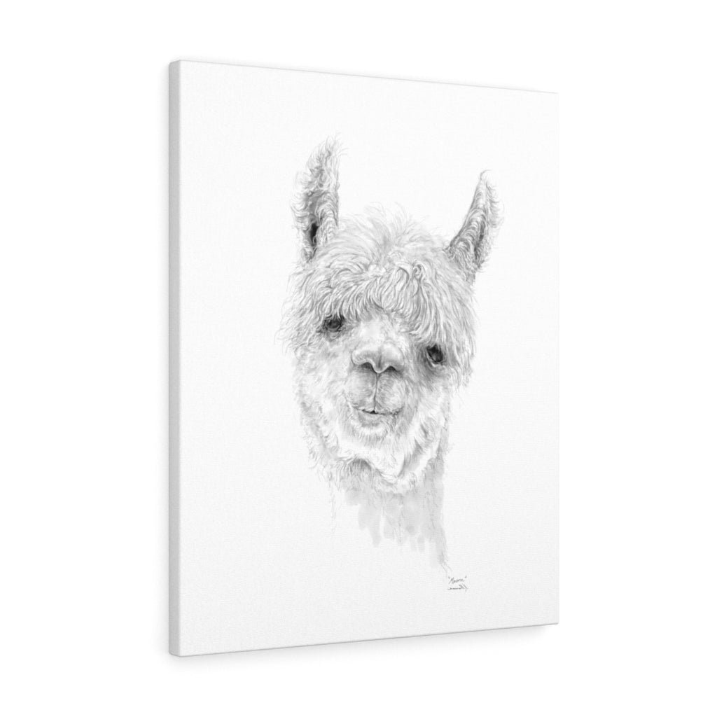MASON Llama - Art Canvas