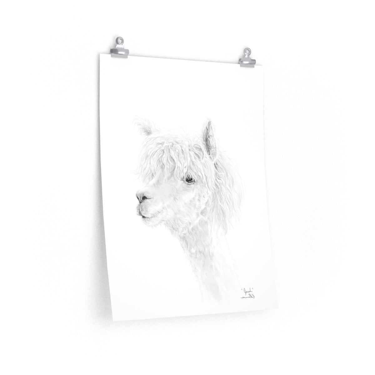 JONAH Llama- Art Paper Print