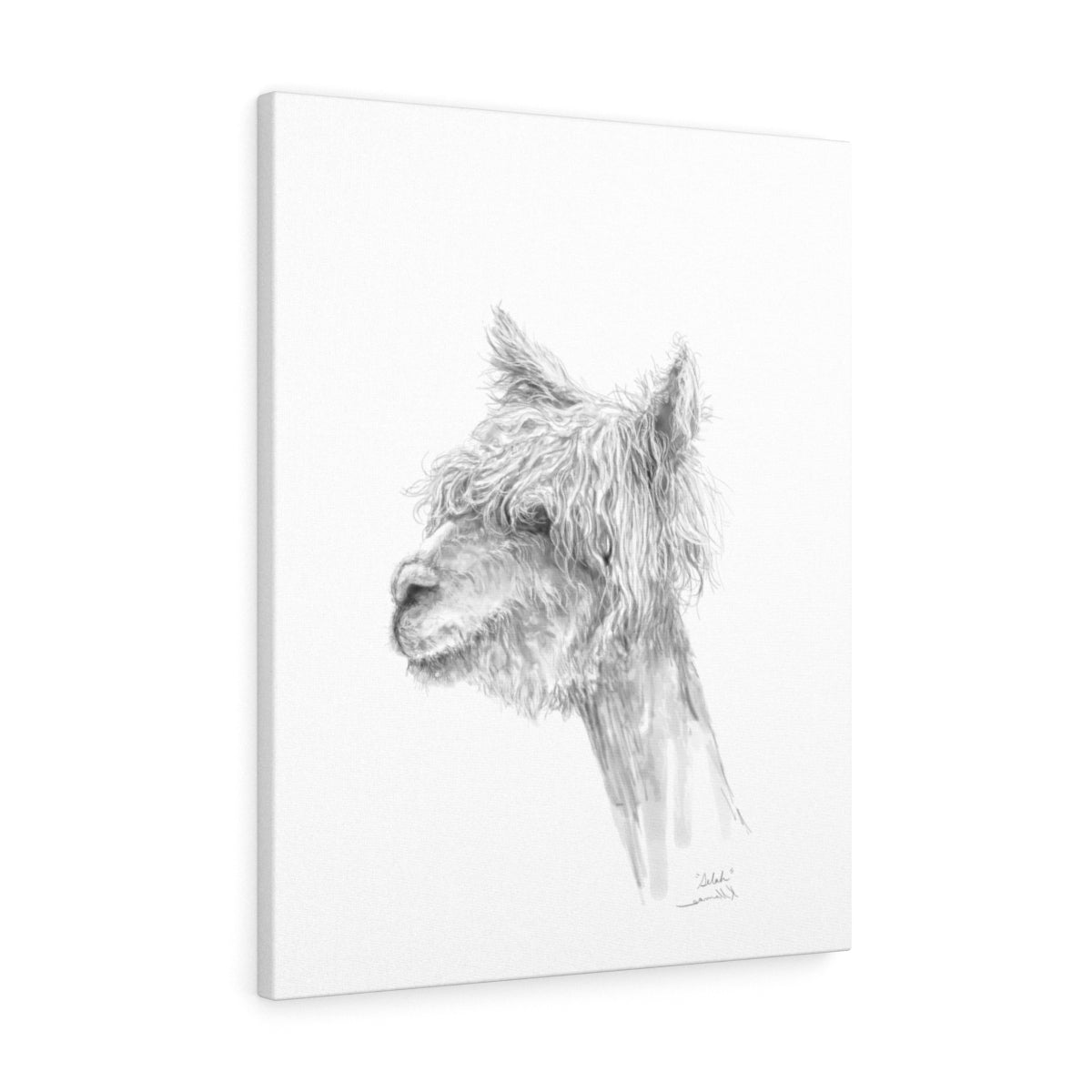 SELAH Llama - Art Canvas