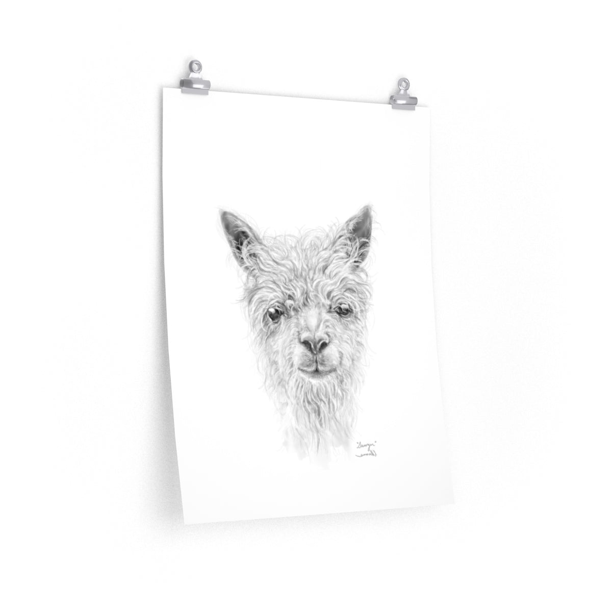 SAWYER Llama- Art Paper Print